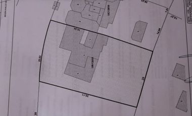 Arbolado con casa para remodelar
