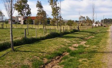 LOTE 5.368 M2 VENTA CHACRAS DE ABBOTT LOTE CENTRAL