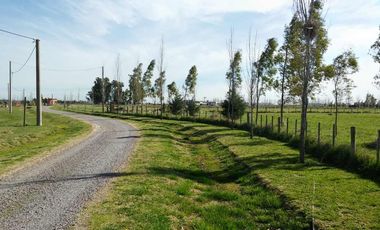 LOTE 5.368 M2 VENTA CHACRAS DE ABBOTT LOTE CENTRAL