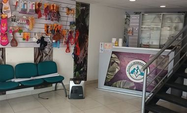 Local Comercial en Arriendo en clemente diaz 350