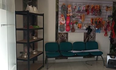 Local Comercial en Arriendo en clemente diaz 350