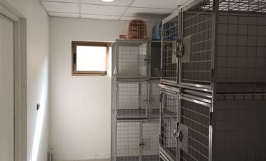 Local Comercial en Arriendo en clemente diaz 350