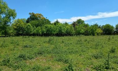 Venta Terreno Lote Casa Pileta 1 Hectárea Cañuelas