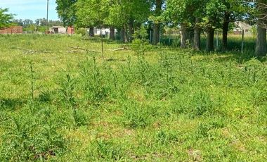 Venta Terreno Lote Casa Pileta 1 Hectárea Cañuelas