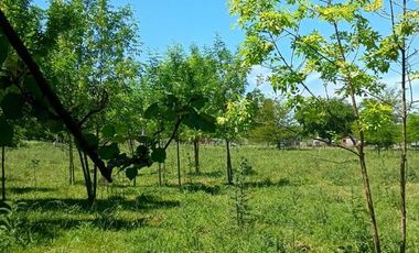 Venta Terreno Lote Casa Pileta 1 Hectárea Cañuelas
