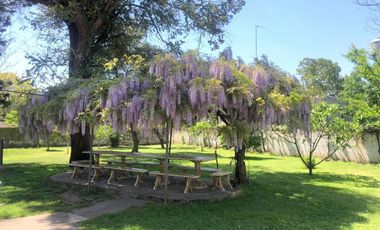 Quinta 3 Ambientes En Venta - Moreno