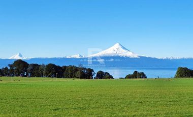 PARCELA CON VISTA Y ACCESO A LAGO EN SECTOR LOS BAJOS.