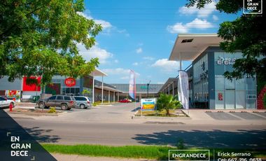 LOCALES EN RENTA PLAZA MIVIA CATALANA, SECTOR AEROPUERTO, TERRANOVA, LEY, ANCLAS LEY, SALUD DIGNA, 24-7 GYM, EMPORIO SUSHI