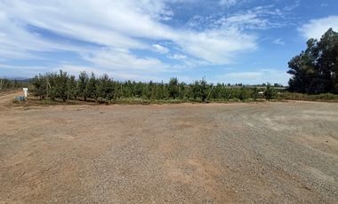 CAMPO AGRÍCOLA DE 39 HA CON MANZANOS EN VENTA, RIO CLARO