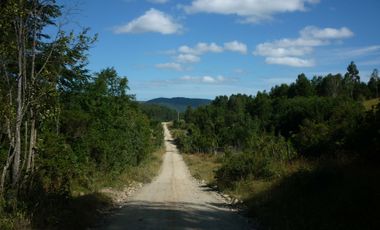 PROPIEDAD, CAMPO CON BOSQUE NATIVO 120 HA, PURRANQUE