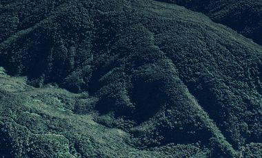 PROPIEDAD, CAMPO CON BOSQUE NATIVO 120 HA, PURRANQUE