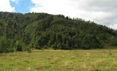 PROPIEDAD, CAMPO CON BOSQUE NATIVO 120 HA, PURRANQUE