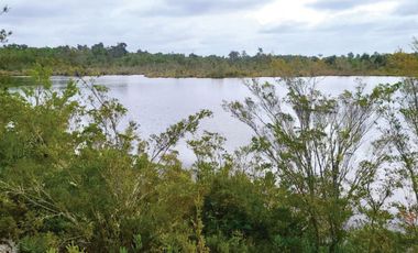 Oportunidad Única en Chiloé: Lote 1 en Laguna Quemchi con Acceso a Laguna Privada.