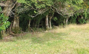 Oportunidad Única en Chiloé: Lote 1 en Laguna Quemchi con Acceso a Laguna Privada.