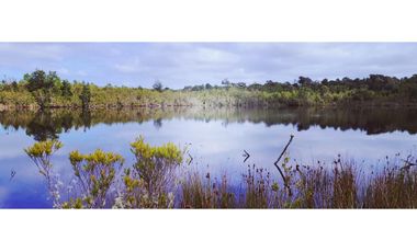 Oportunidad Única en Chiloé: Lote 1 en Laguna Quemchi con Acceso a Laguna Privada.