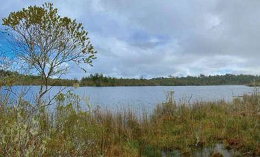 Oportunidad Única en Chiloé: Lote 1 en Laguna Quemchi con Acceso a Laguna Privada.