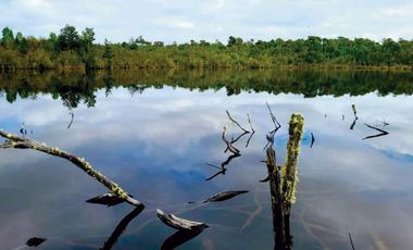 Oportunidad Única en Chiloé: Lote 1 en Laguna Quemchi con Acceso a Laguna Privada.