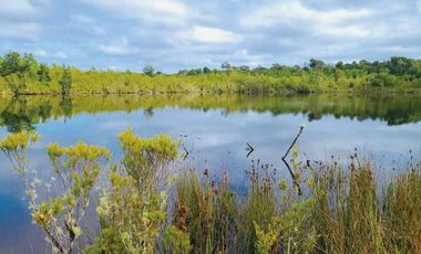 Oportunidad Única en Chiloé: Lote 1 en Laguna Quemchi con Acceso a Laguna Privada.
