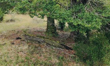 Oportunidad Única en Chiloé: Lote 1 en Laguna Quemchi con Acceso a Laguna Privada.