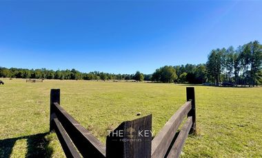 Parcela en Venta en Alto Roble - Segunda Faja