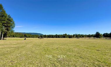 Parcela en Venta en Alto Roble - Segunda Faja