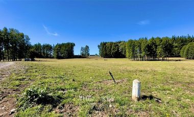 Parcela en Venta en Alto Roble - Segunda Faja