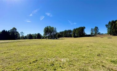 Parcela en Venta en Alto Roble - Segunda Faja