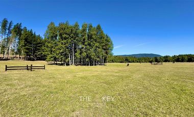 Parcela en Venta en Alto Roble - Segunda Faja