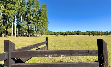 Parcela en Venta en Alto Roble - Segunda Faja