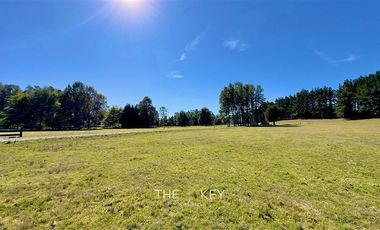 Parcela en Venta en Alto Roble - Segunda Faja