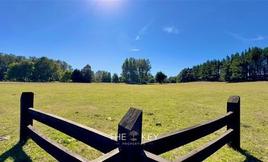 Parcela en Venta en Alto Roble - Segunda Faja