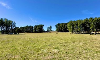 Parcela en Venta en Alto Roble - Segunda Faja