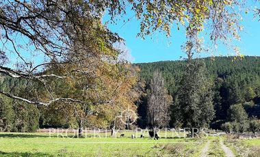 Preciosos terrenos orilla Rio Cruces