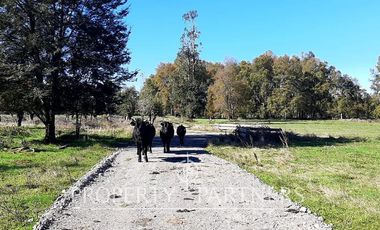 Preciosos terrenos orilla Rio Cruces