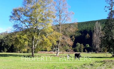 Preciosos terrenos orilla Rio Cruces