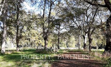 Preciosos terrenos orilla Rio Cruces