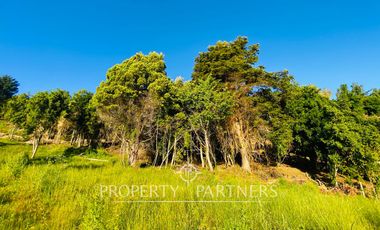MACRO LOTES BORDE LAGO RANCO