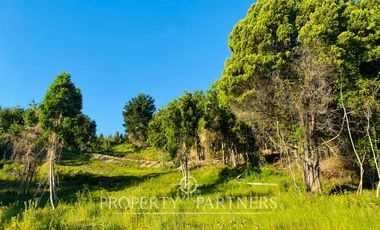 MACRO LOTES BORDE LAGO RANCO