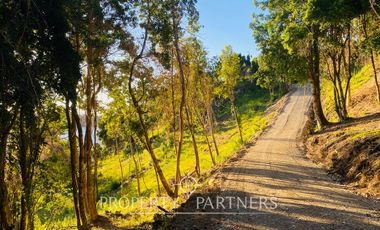 MACRO LOTES BORDE LAGO RANCO