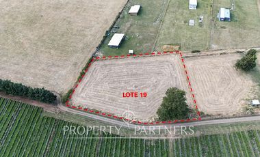 Parcelas planas con caminos, agua, luz y vista volcán Villarrica