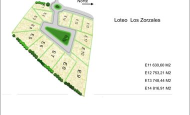 Excelentes terrenos urbanos en Puerto Varas