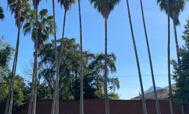 Quinta Santiago