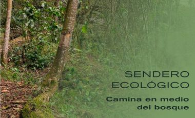 Venta Lote parcelación Medellín poblado balsos palmas vista