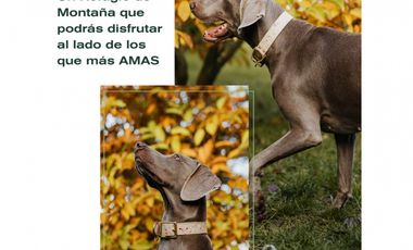 Venta Lote parcelación Medellín poblado balsos palmas vista