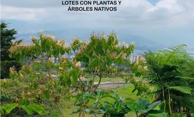 Venta Lote parcelación Medellín poblado balsos palmas vista