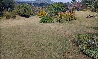 Venta de Finca en La Ceja, vereda Lomitas