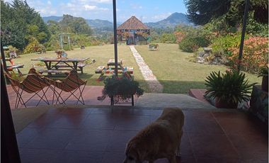 Venta de Finca en La Ceja, vereda Lomitas