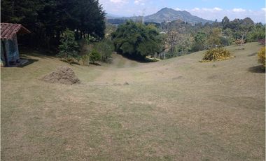 Venta de Finca en La Ceja, vereda Lomitas