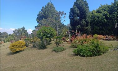 Venta de Finca en La Ceja, vereda Lomitas