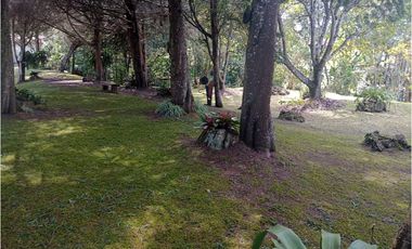 Venta de Finca en La Ceja, vereda Lomitas